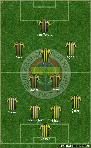 Fenerbahçe SK Formation 2015