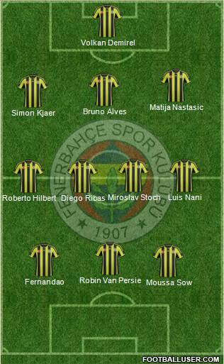 Fenerbahçe SK Formation 2015