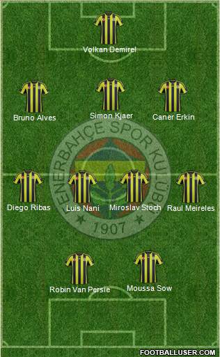 Fenerbahçe SK Formation 2015