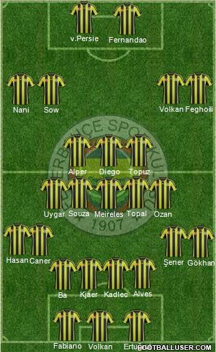 Fenerbahçe SK Formation 2015