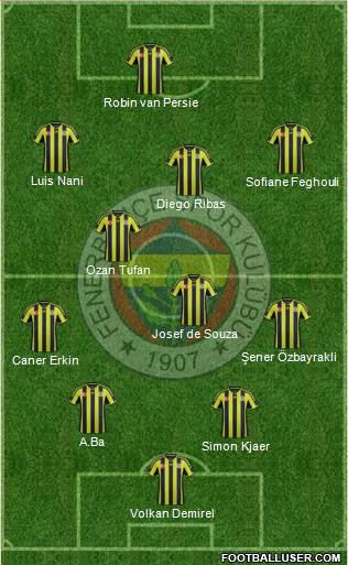 Fenerbahçe SK Formation 2015