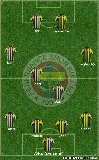 Fenerbahçe SK Formation 2015