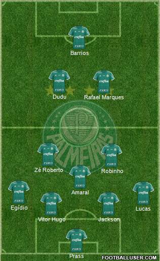 SE Palmeiras Formation 2015