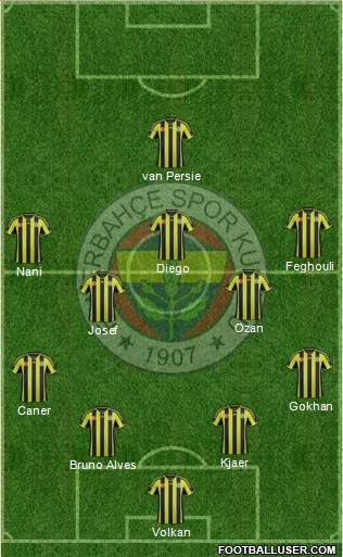 Fenerbahçe SK Formation 2015