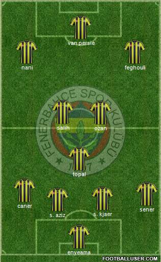 Fenerbahçe SK Formation 2015
