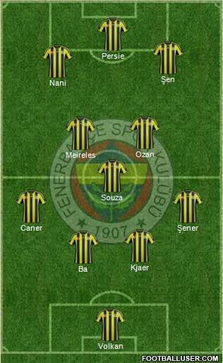 Fenerbahçe SK Formation 2015