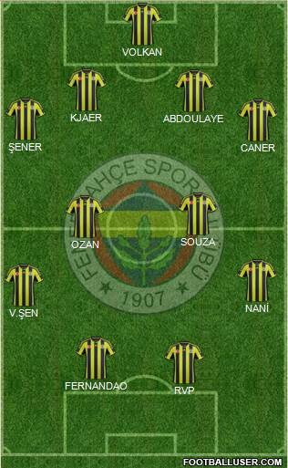 Fenerbahçe SK Formation 2015
