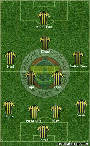Fenerbahçe SK Formation 2015
