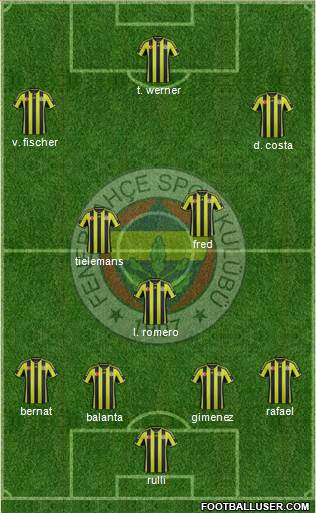 Fenerbahçe SK Formation 2015