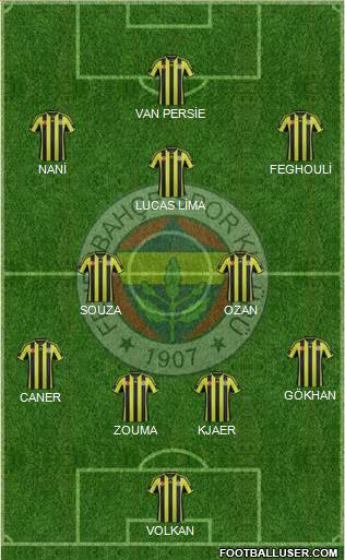 Fenerbahçe SK Formation 2015