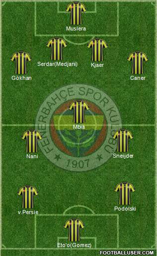 Fenerbahçe SK Formation 2015
