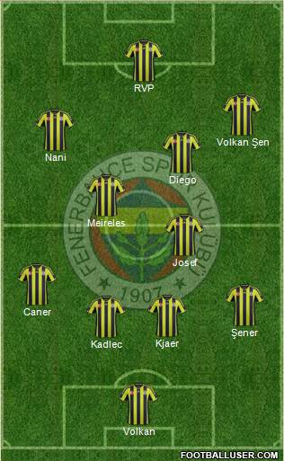 Fenerbahçe SK Formation 2015