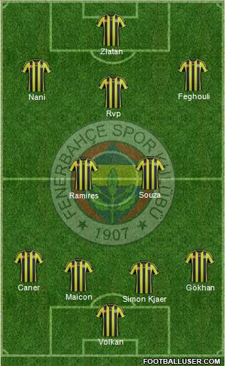 Fenerbahçe SK Formation 2015