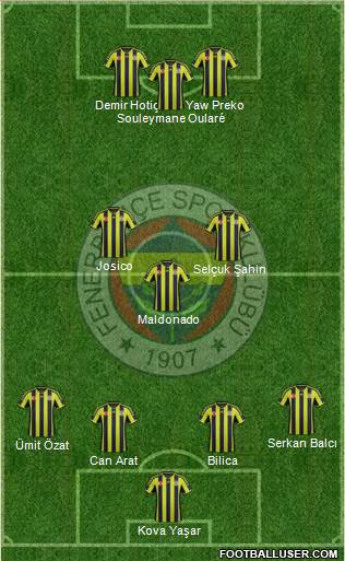 Fenerbahçe SK Formation 2015