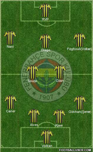 Fenerbahçe SK Formation 2015