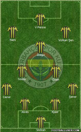 Fenerbahçe SK Formation 2015