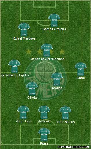 SE Palmeiras Formation 2015