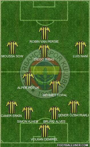 Fenerbahçe SK Formation 2015