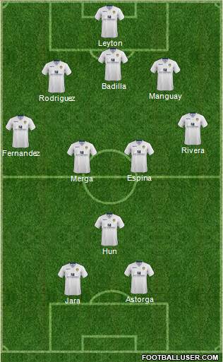 Leeds United Formation 2015