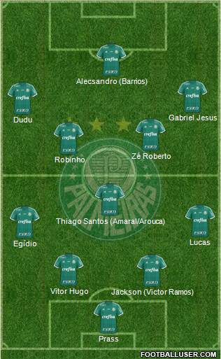 SE Palmeiras Formation 2015