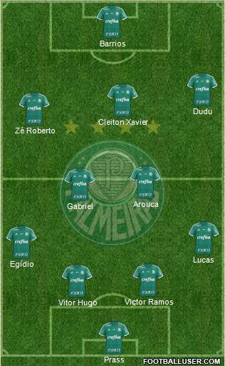 SE Palmeiras Formation 2015