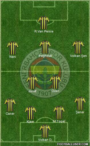 Fenerbahçe SK Formation 2015