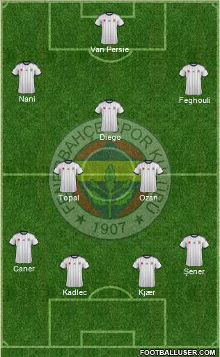 Fenerbahçe SK Formation 2015