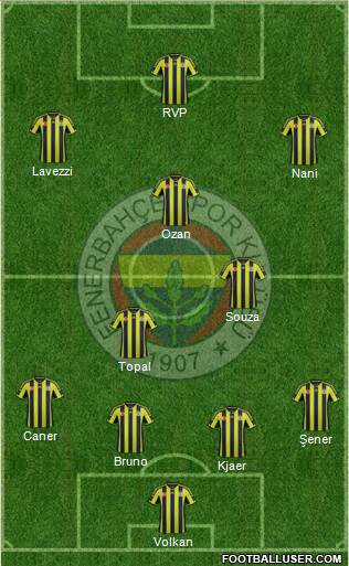 Fenerbahçe SK Formation 2015
