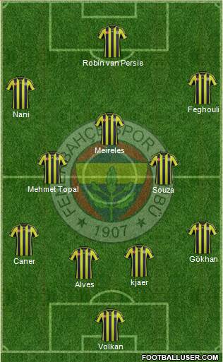 Fenerbahçe SK Formation 2015