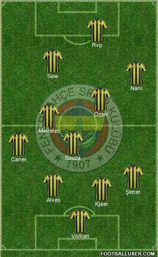 Fenerbahçe SK Formation 2015
