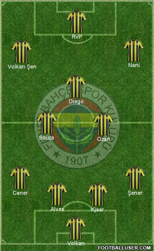 Fenerbahçe SK Formation 2015