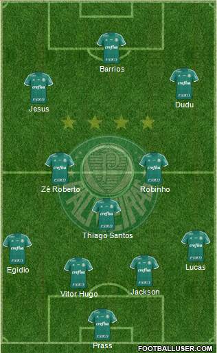 SE Palmeiras Formation 2015
