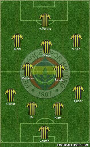 Fenerbahçe SK Formation 2015