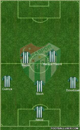 Bursaspor Formation 2015