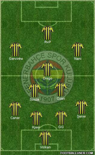 Fenerbahçe SK Formation 2015