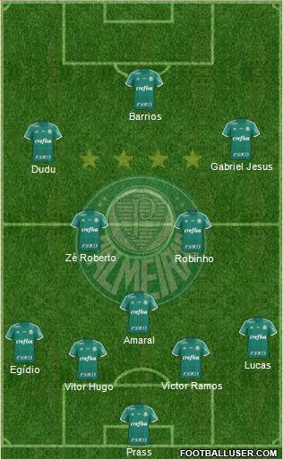 SE Palmeiras Formation 2015