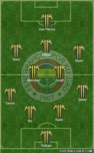 Fenerbahçe SK Formation 2015