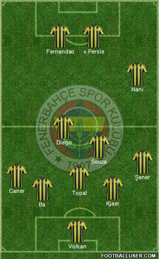 Fenerbahçe SK Formation 2015