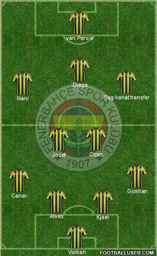 Fenerbahçe SK Formation 2015