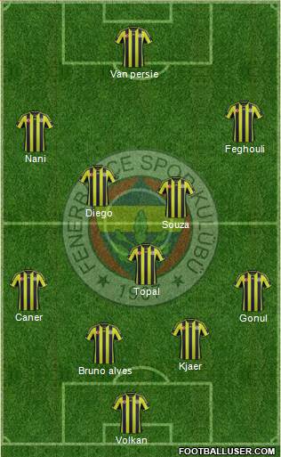 Fenerbahçe SK Formation 2015