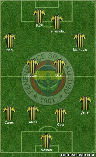 Fenerbahçe SK Formation 2015