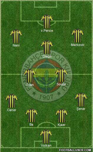 Fenerbahçe SK Formation 2015