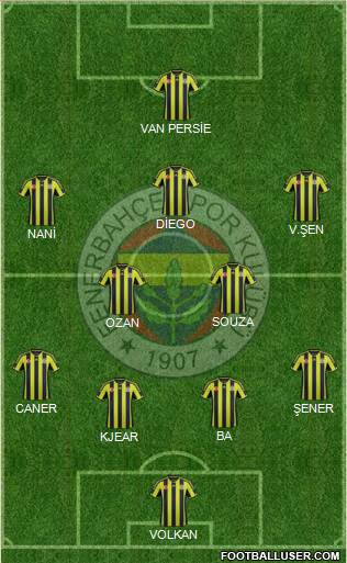 Fenerbahçe SK Formation 2015