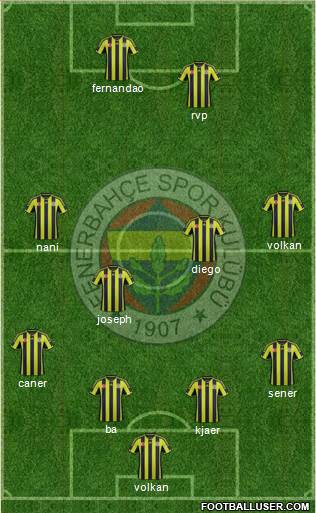Fenerbahçe SK Formation 2015