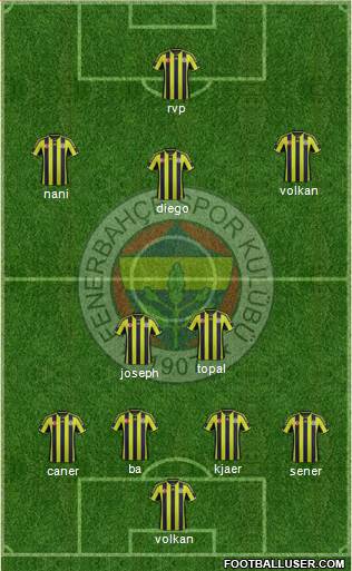 Fenerbahçe SK Formation 2015