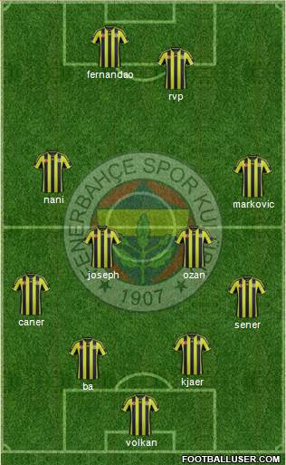 Fenerbahçe SK Formation 2015