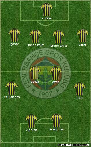 Fenerbahçe SK Formation 2015