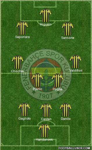 Fenerbahçe SK Formation 2015