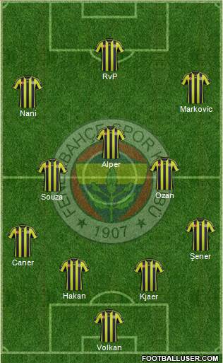 Fenerbahçe SK Formation 2015