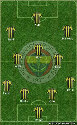 Fenerbahçe SK Formation 2015